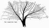 computer tree
